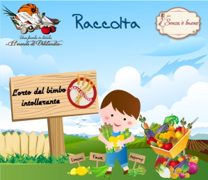 raccolta2
