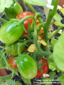 20160610_181622