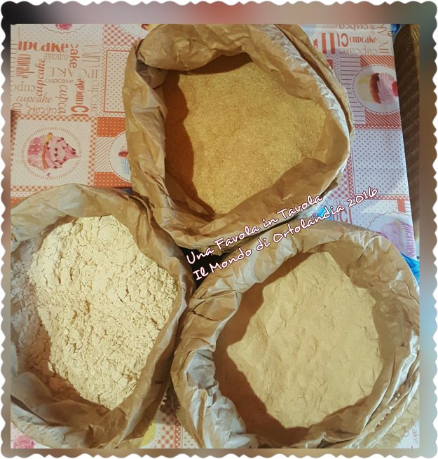 photogrid_1484737246263